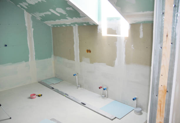 Best Real Estate Mold Inspection  in Freeburg, IL