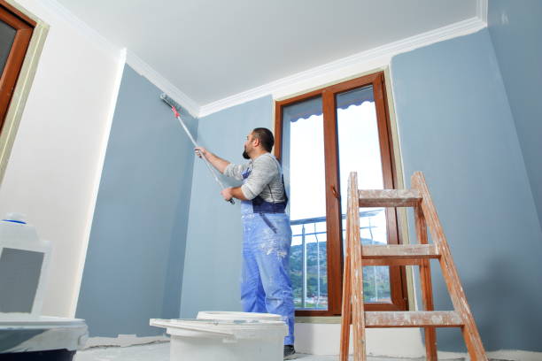  Freeburg, IL Mold Removal Pros