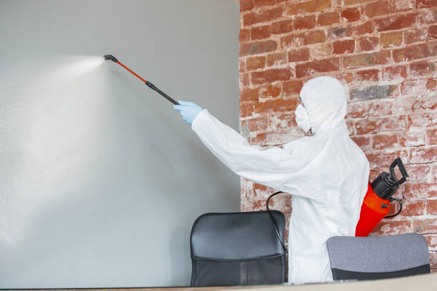 Best Forensic Mold Investigation  in Freeburg, IL