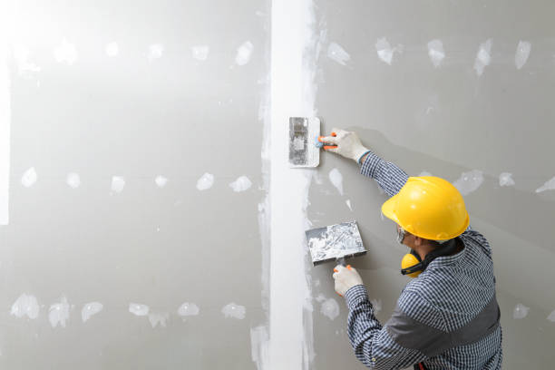 Best Mold Remediation for Healthcare Facilities  in Freeburg, IL