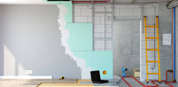 Best Industrial Mold Remediation  in Freeburg, IL