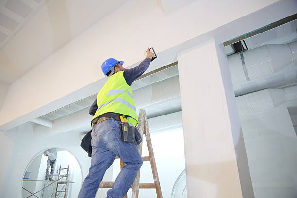 Professional Mold Removal in Freeburg, IL