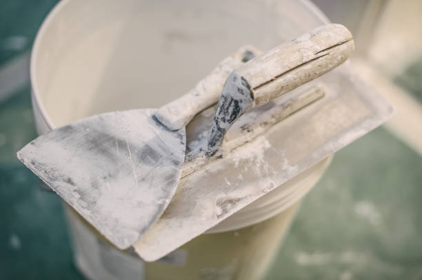 Best Environmental Consulting for Mold Prevention  in Freeburg, IL