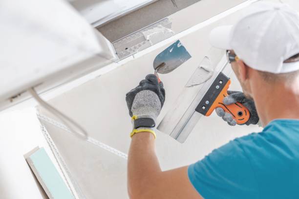 Best Attic Mold Removal  in Freeburg, IL